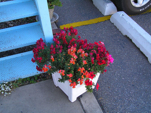 Hiway House Motel Albuquerque Exteriér fotografie
